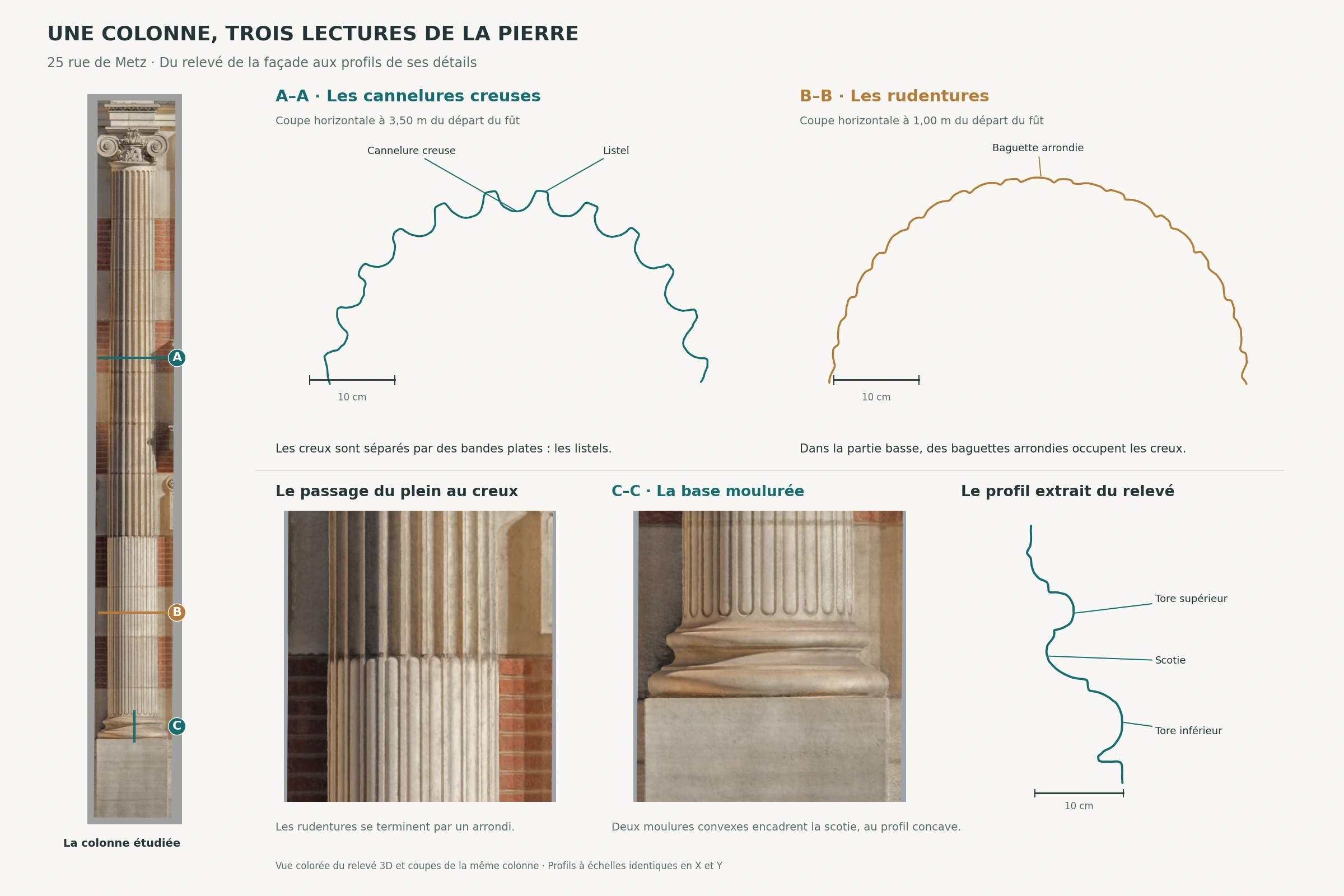 Coupes situées sur une colonne de la rue de Metz : cannelures, rudentures et base moulurée